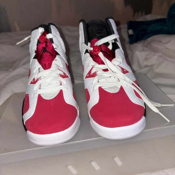 Air Jordan carmine 6s